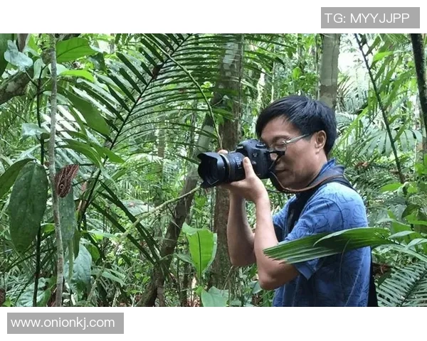 张宁的奋斗历程与成就探索：从普通学生到行业领军人物的成长之路