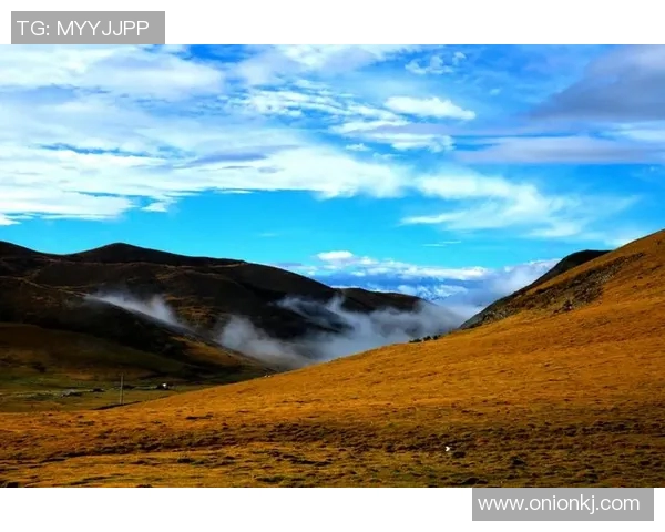 萨林杰的文学世界与人生哲学探讨：从孤独到自我救赎的心灵旅程