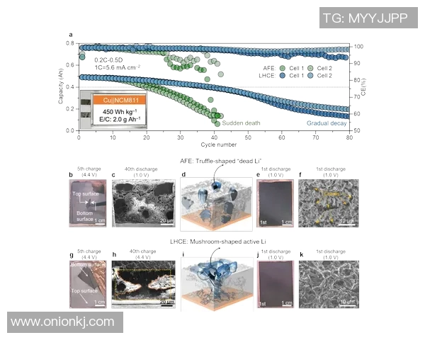 数据分析揭示BLG团队协作表现的优势与改进空间 数据分析揭示BLG团队协作表现的优势与改进空间