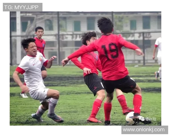 绿城与北控精彩对决视频回顾赛场瞬间尽在眼前